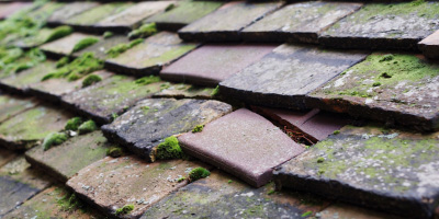 Saltdean roof repair costs